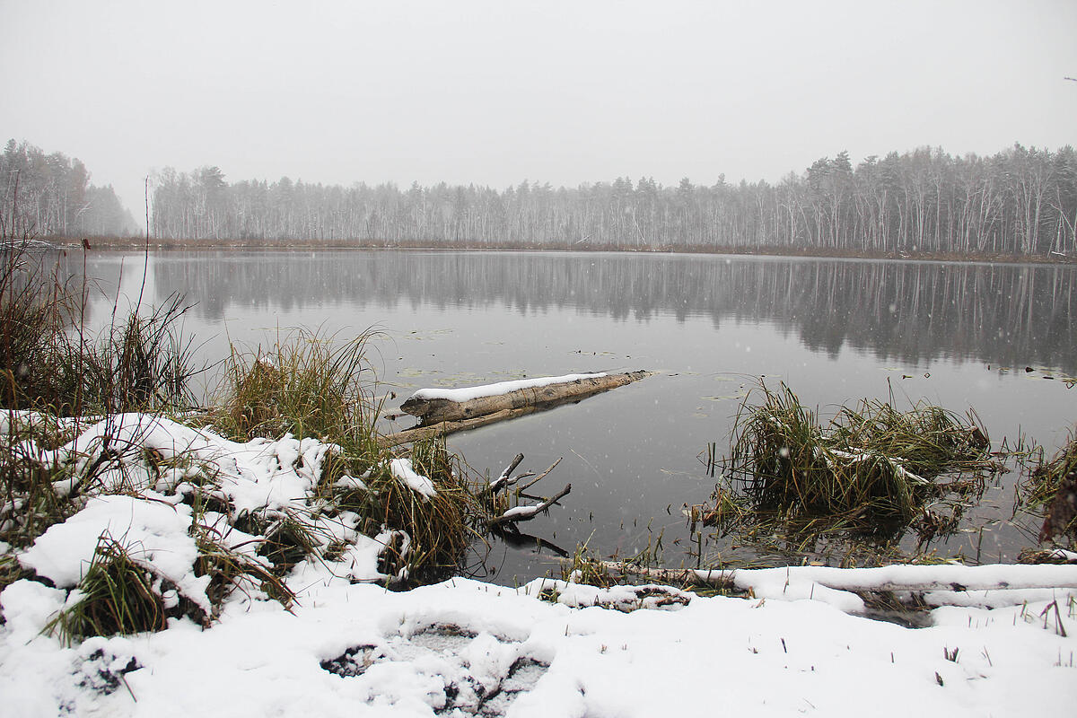 Озеро глубокое полоцкий район